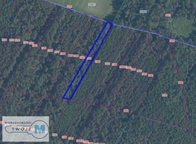 Działka rolna Pierzchnica. Zdjęcie 5