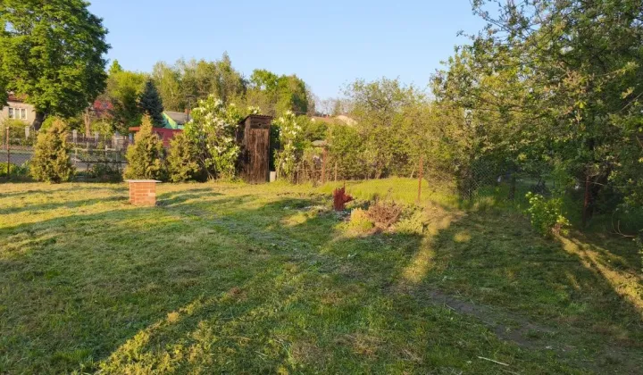 Działka rod Ostrowiec Świętokrzyski, ul. Zielona