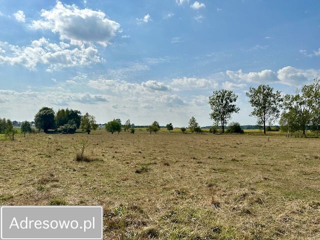 Działka budowlana Rafałówka. Zdjęcie 12