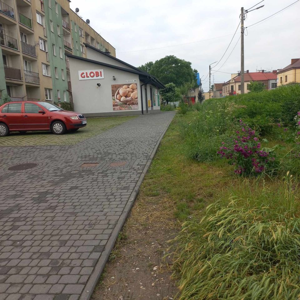 Lokal Proszowice, ul. Królewska. Zdjęcie 5