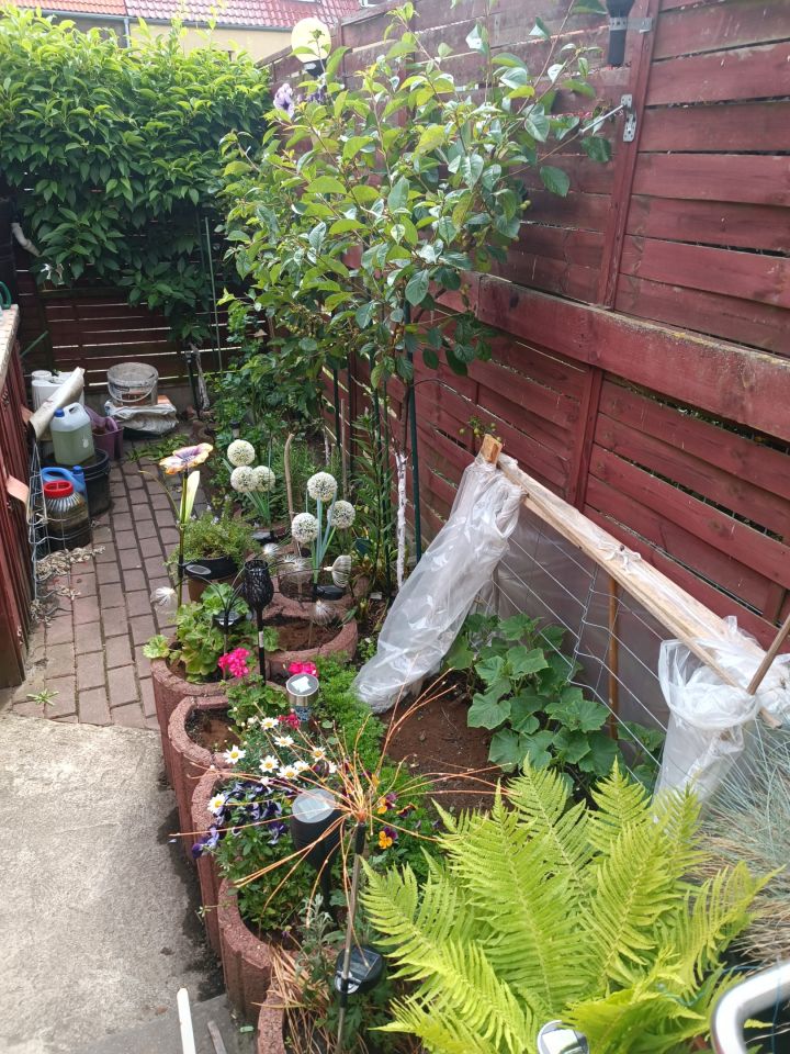 Mieszkanie 3-pokojowe Szczecin Żelechowa, ul. Hoża. Zdjęcie 23