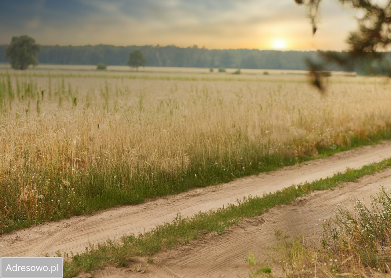 dom wolnostojący, 6 pokoi Topola Wielka, ul. Leśna. Zdjęcie 6
