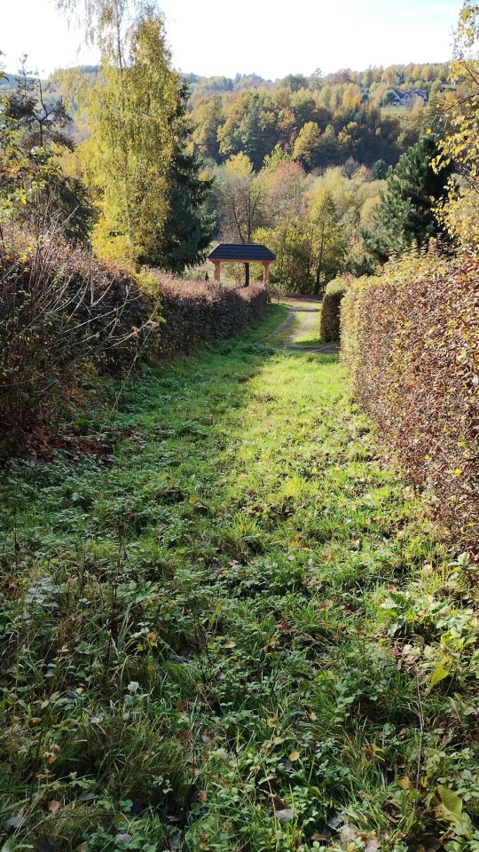 Działka rolno-budowlana Czasław. Zdjęcie 3