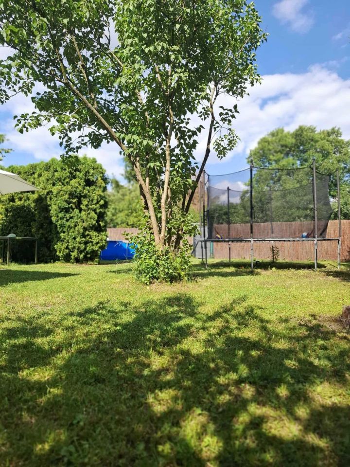 Działka rod Piotrków Trybunalski, ul. Gęsia. Zdjęcie 2