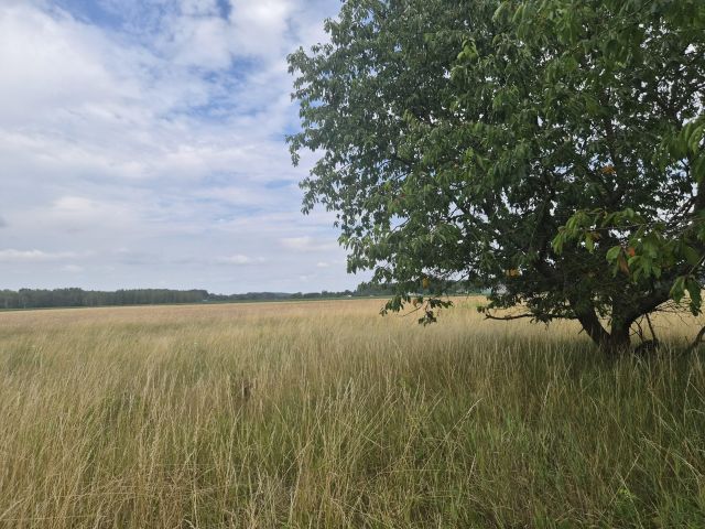 Działka budowlana Tułowice. Zdjęcie 1