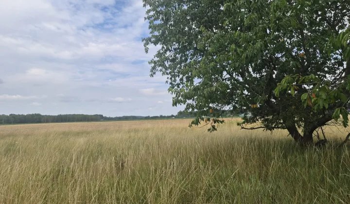 Działka budowlana Tułowice
