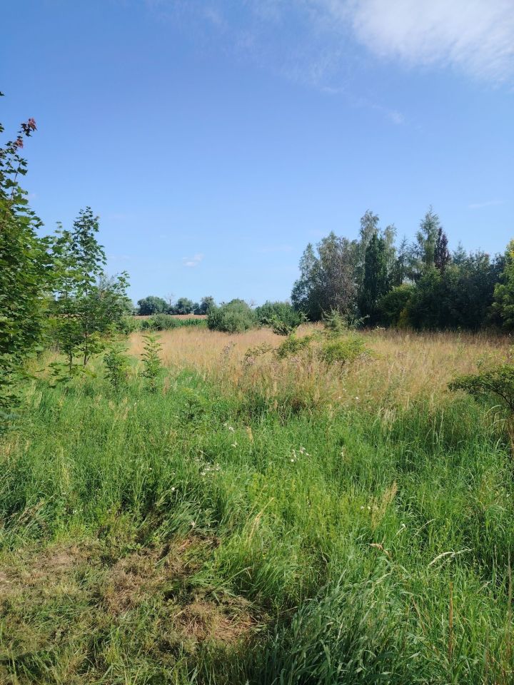 Działka rolno-budowlana Ceradz Kościelny. Zdjęcie 2