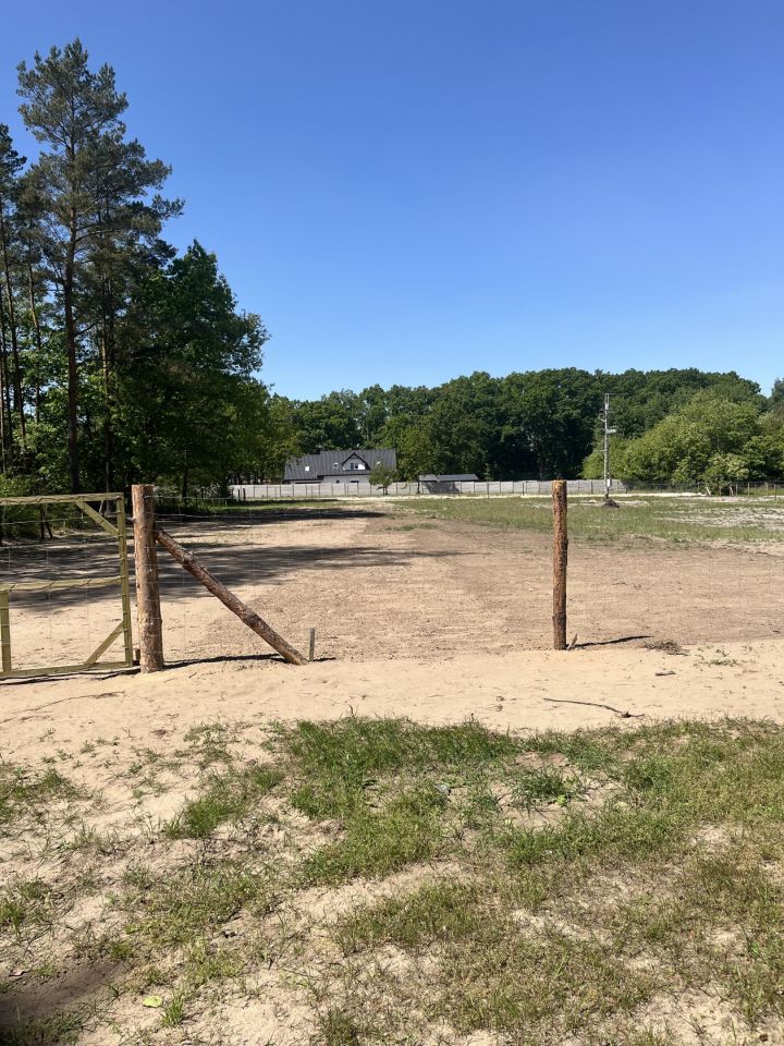 Działka rolna Dębostrów Stary Dębostrów. Zdjęcie 4