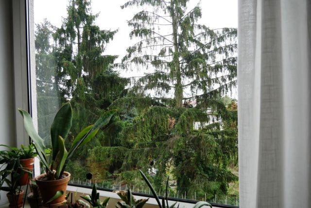 Mieszkanie 2-pokojowe Warszawa Ursus, ul. Górna Droga. Zdjęcie 4