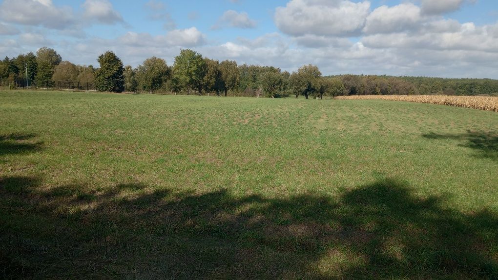 Działka budowlana Flantrowo. Zdjęcie 2