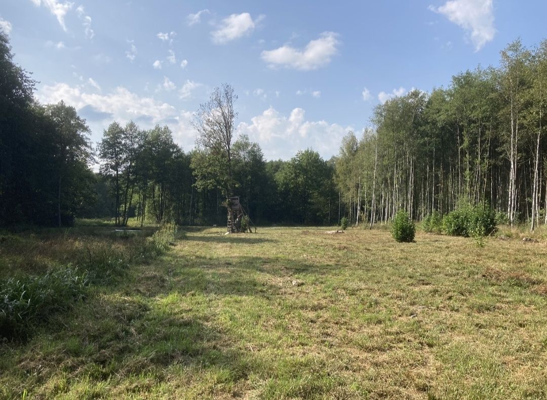 Działka rekreacyjna Irena. Zdjęcie 3