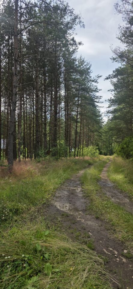Działka rekreacyjna Niesiołowice. Zdjęcie 1