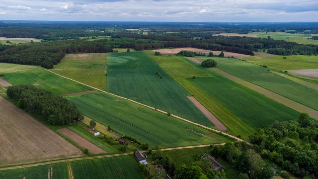 Działka rolna Sieśki. Zdjęcie 2