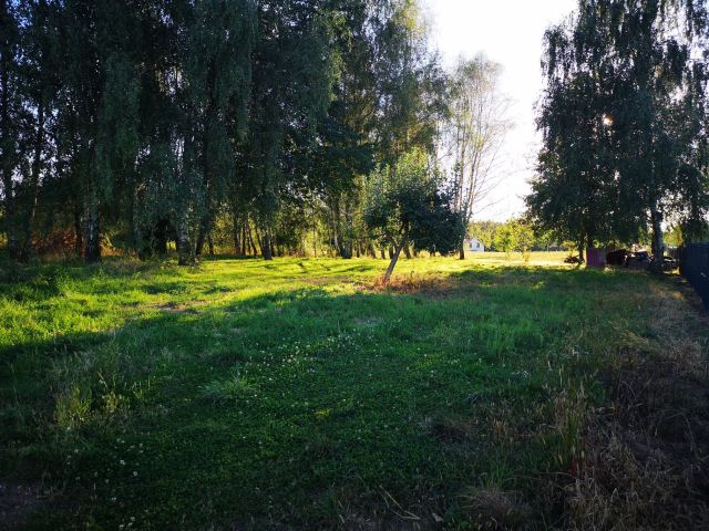 Działka budowlana Pierwoszów, ul. Brzozowa. Zdjęcie 1