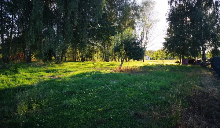 Działka budowlana Pierwoszów, ul. Brzozowa