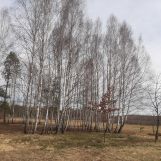 Działka budowlana Daleszyce. Zdjęcie 3