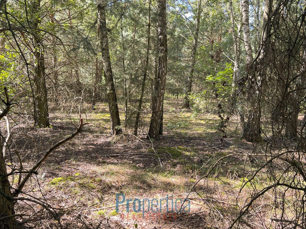 Działka budowlana Zwola Poduchowna. Zdjęcie 8