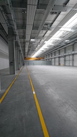 Hala/magazyn Elbląg Centrum, ul. Malborska. Zdjęcie 8