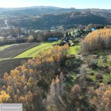 Działka rolno-budowlana Olszowa. Zdjęcie 1