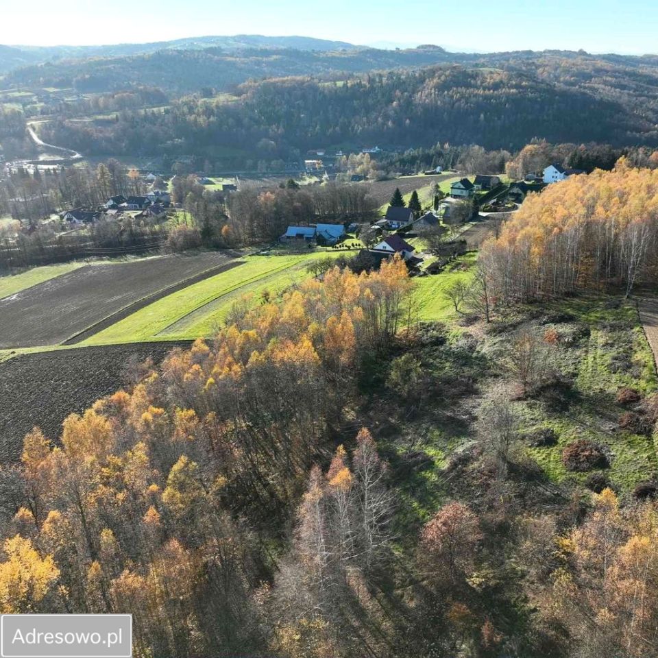 Działka rolno-budowlana Olszowa. Zdjęcie 2