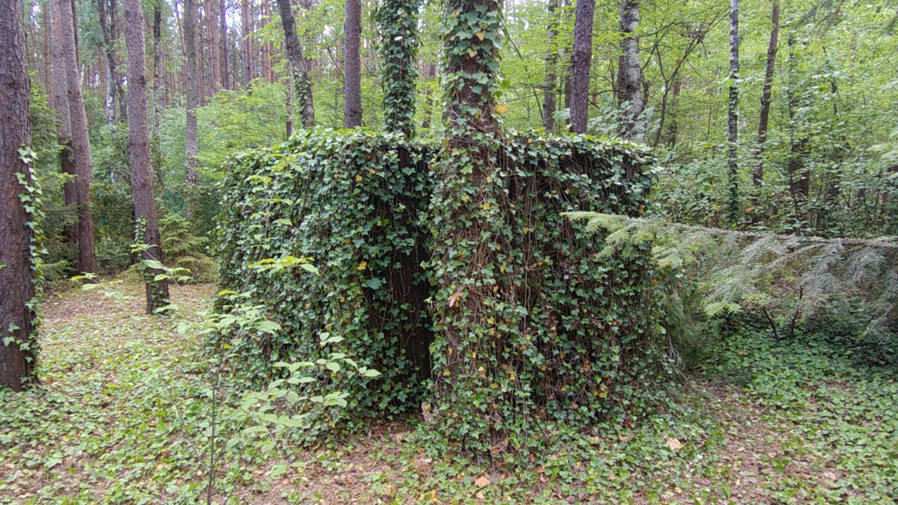 Działka inna Kolonia Karczmy, ul. Świerkowa. Zdjęcie 12