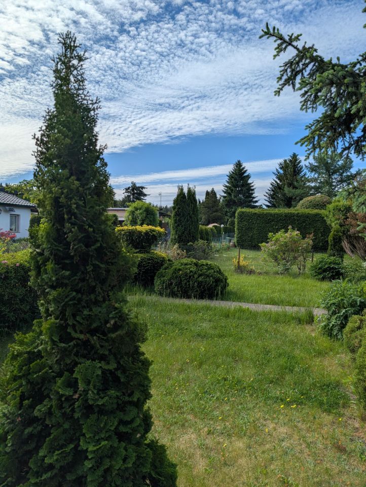 Działka rod Włocławek Rybnica, ul. Graniczna. Zdjęcie 4