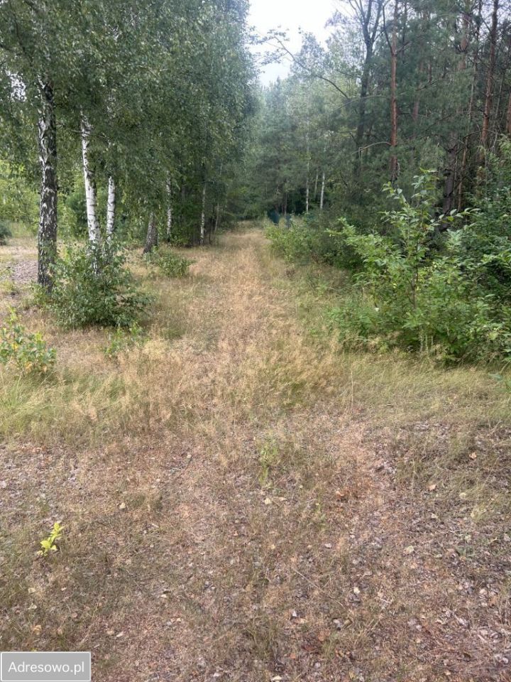 Działka rolna Borkowo. Zdjęcie 3