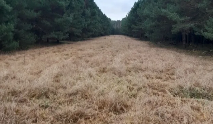 Działka rolna Kuźnica Żerechowska