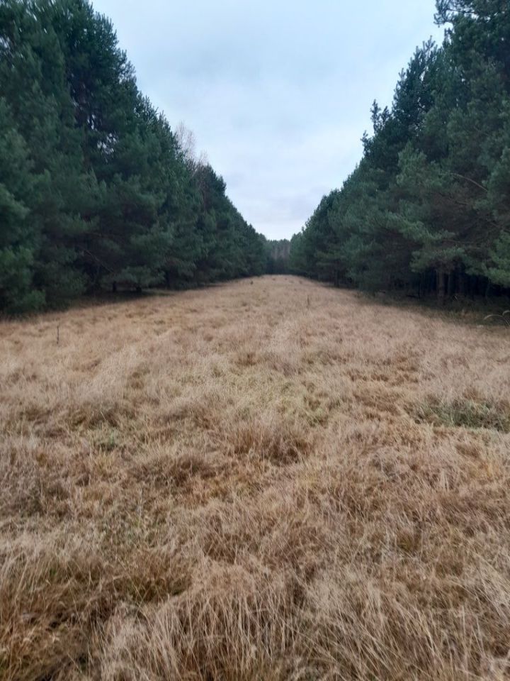 Działka rolna Kuźnica Żerechowska