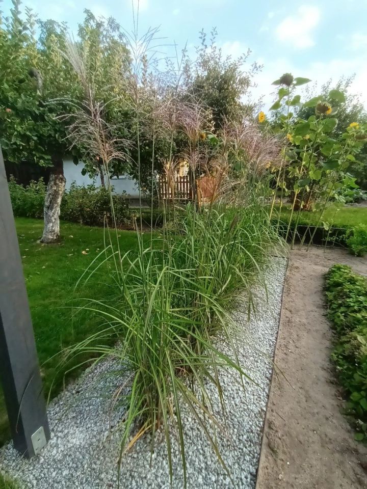 Działka rod Iława, ul. Michała Kajki. Zdjęcie 6