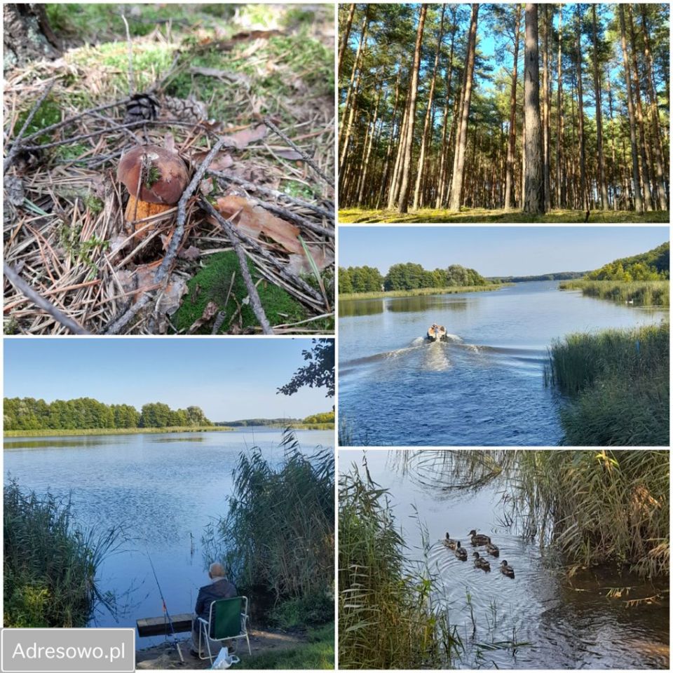 dom wolnostojący, 3 pokoje Osłonin, ul. Wiosenna. Zdjęcie 11