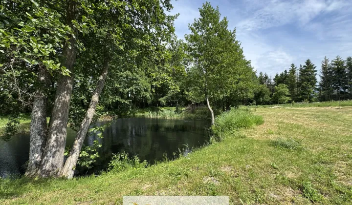 Działka Trzcińsk, ul. Dębowa