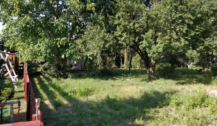 Działka rod Łódź Widzew, ul. Telefoniczna