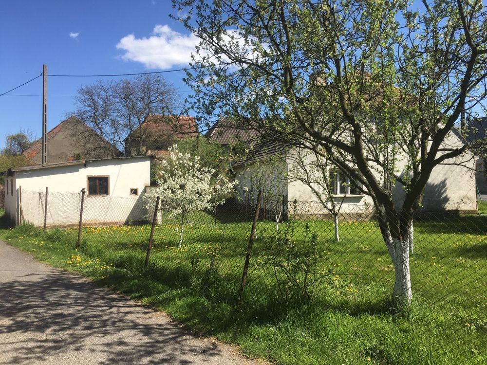 dom wolnostojący, 4 pokoje Miłkowice. Zdjęcie 5