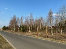 Działka budowlana Niesułków-Kolonia. Zdjęcie 3