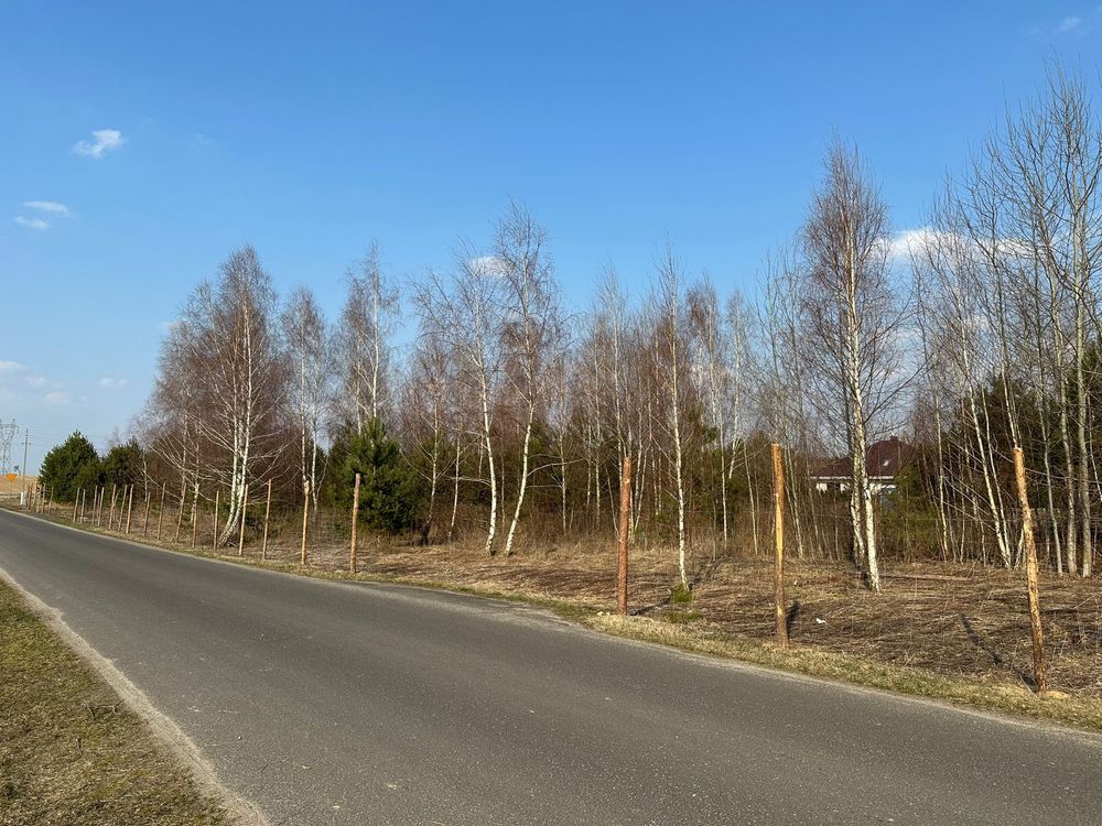 Działka budowlana Niesułków-Kolonia. Zdjęcie 4