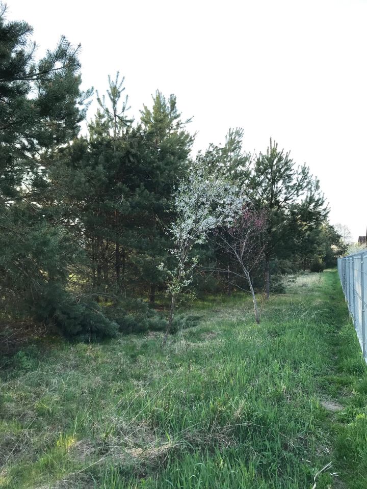 Działka rolno-budowlana Surmacze. Zdjęcie 21