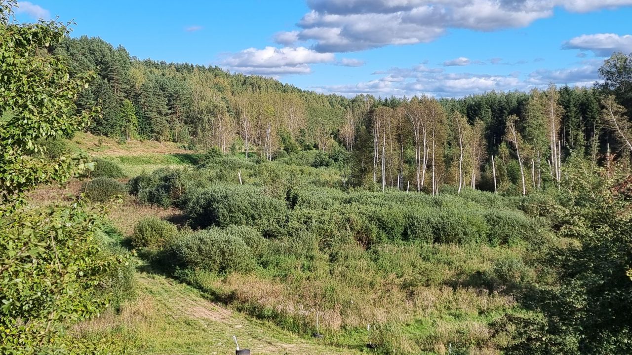 Działka budowlana Łaniewo. Zdjęcie 12