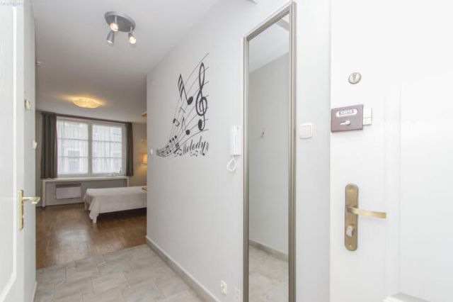 Mieszkanie 1-pokojowe Kraków Stare Miasto, ul. Sławkowska. Zdjęcie 9