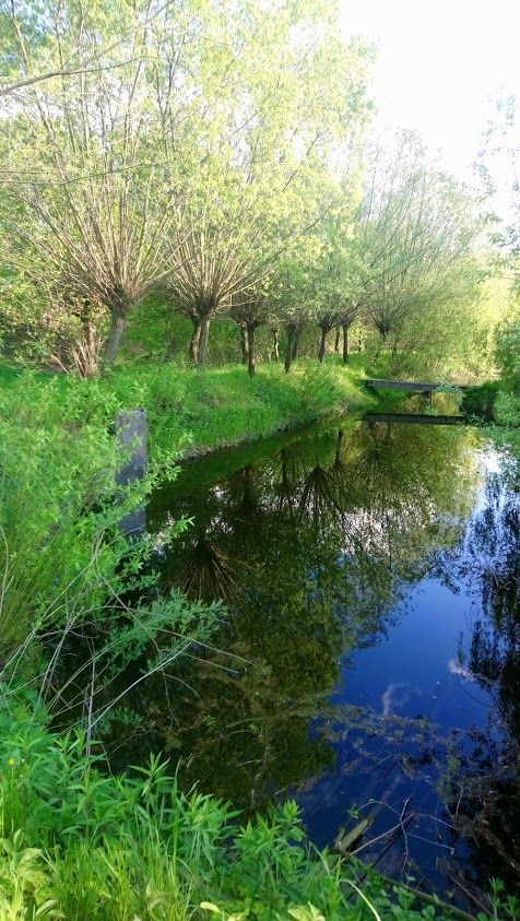 Działka rekreacyjna Glinik Górny Poddział. Zdjęcie 8