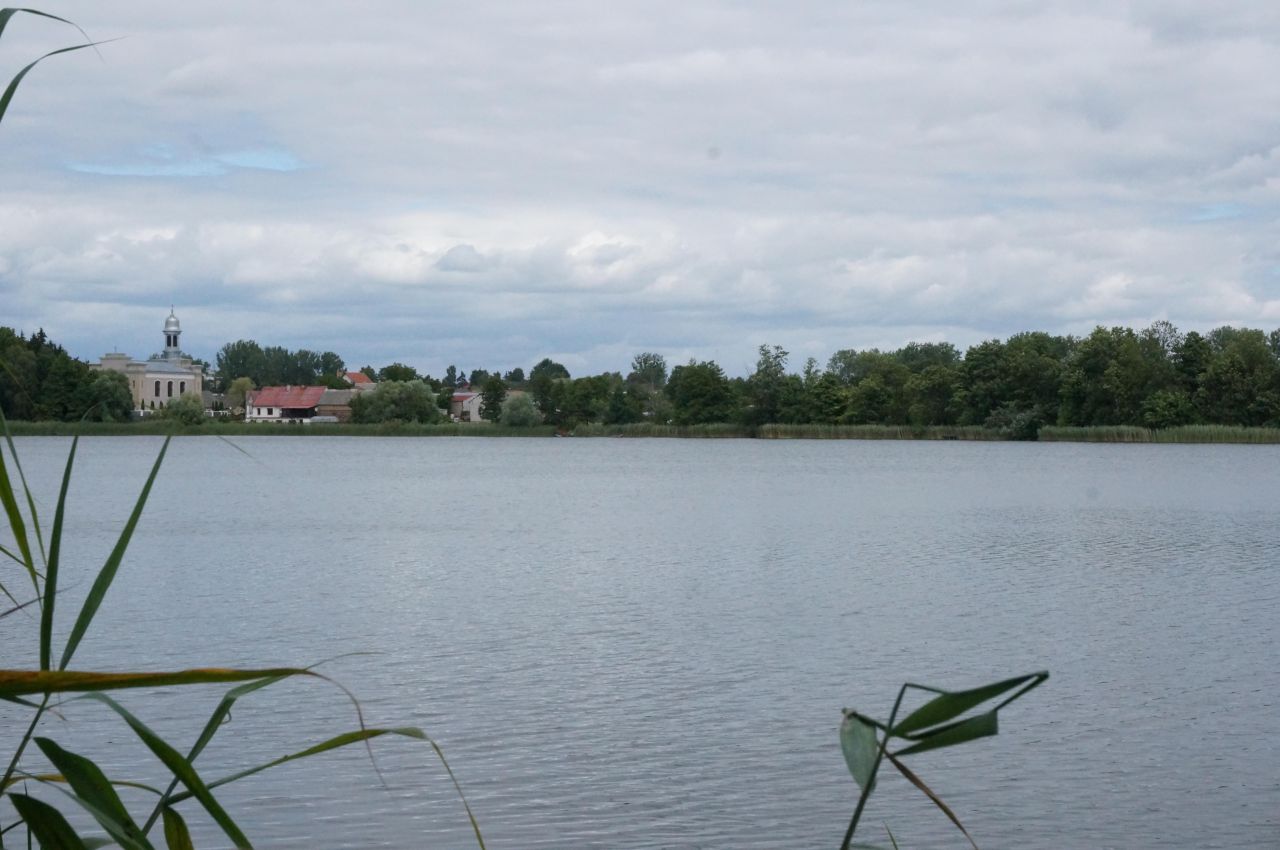 Działka rolno-budowlana Łowyń, Leśna. Zdjęcie 12