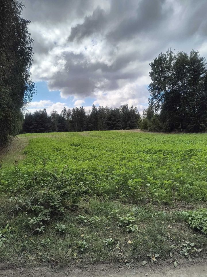 Działka rolna Rawa. Zdjęcie 1