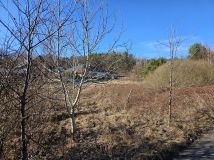 Działka budowlana Żary Kunice Żarskie, al. Wojska Polskiego. Zdjęcie 3