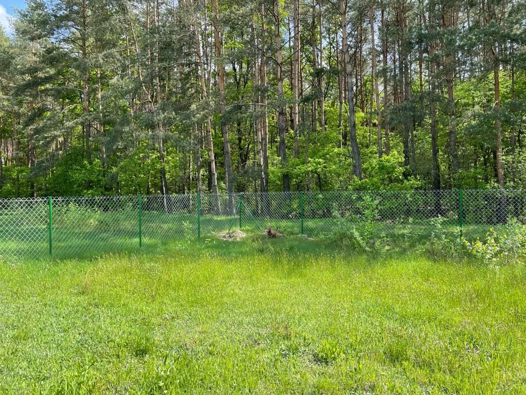 Działka budowlana Kamieńczyk, ul. Polanki. Zdjęcie 1