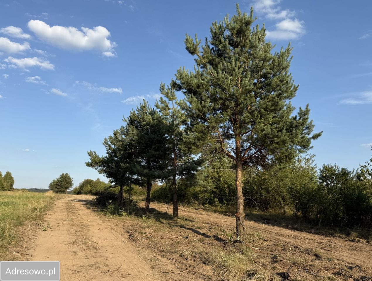 Działka budowlana Mójcza, ul. Panoramiczna. Zdjęcie 5