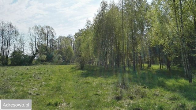 Działka siedliskowa Łubniki. Zdjęcie 1