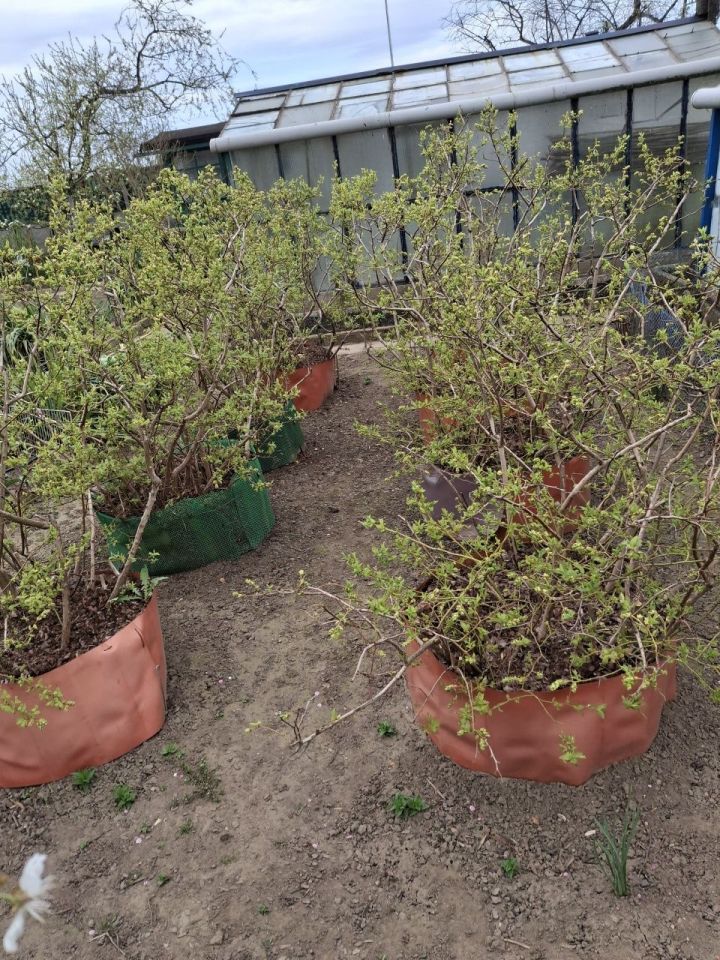 Działka rod Słupsk. Zdjęcie 8