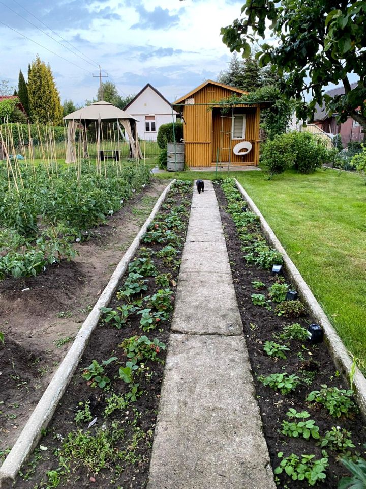 Działka rod Białystok Wygoda, ul. Krzysztofa Pendereckiego. Zdjęcie 6