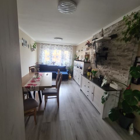 Mieszkanie 3-pokojowe Golub-Dobrzyń. Zdjęcie 1