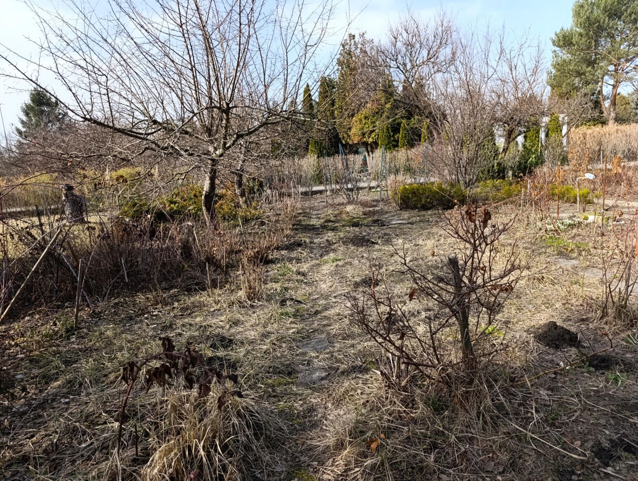 Działka rod Warszawa Włochy, ul. Sasanki. Zdjęcie 5